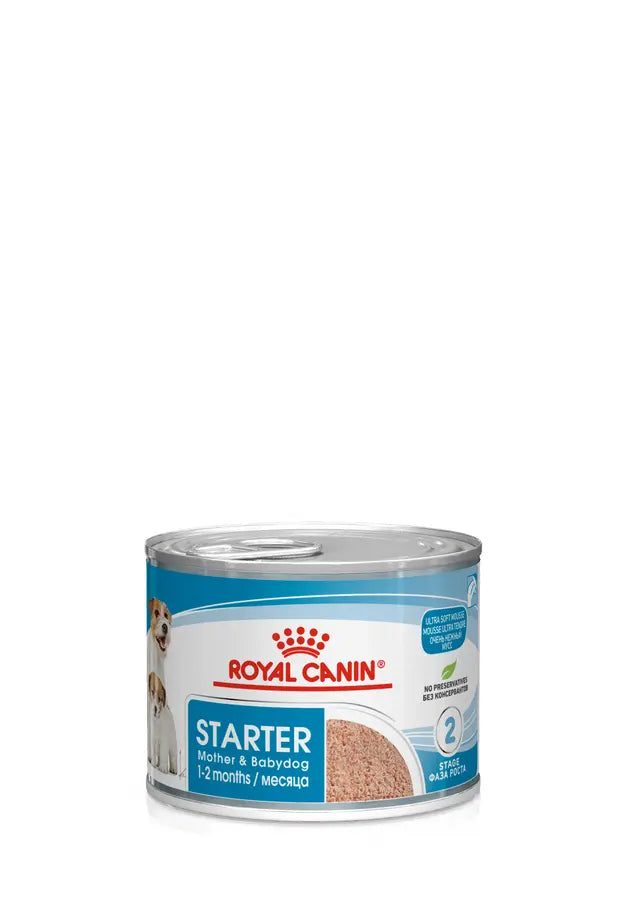 Lattina singola Royal Canin Starter Mousse 195 g cane cucciolo Lattina singola Royal Canin Starter Mousse 195 g cane cucciolo